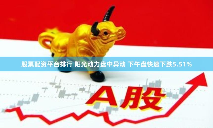 股票配资平台排行 阳光动力盘中异动 下午盘快速下跌5.51%