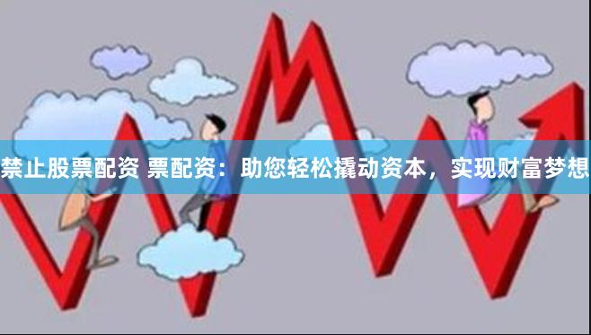 禁止股票配资 票配资：助您轻松撬动资本，实现财富梦想