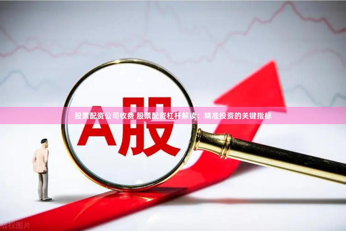 股票配资公司收费 股票配资杠杆解读：精准投资的关键指标